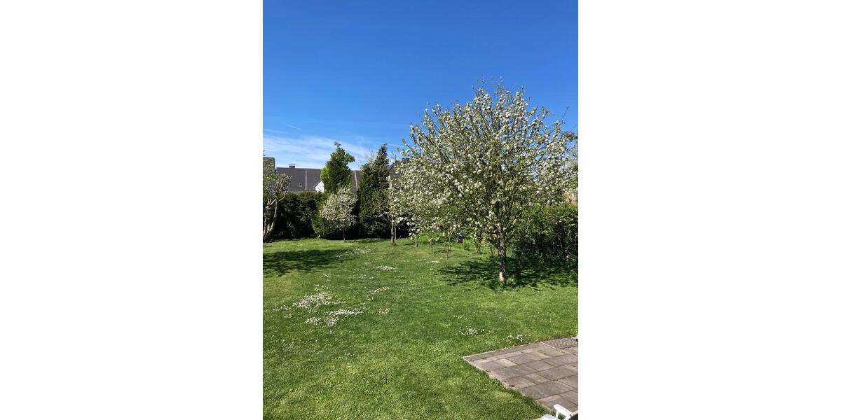 Doppelhaushälfte Gladbeck Alt-Rentfort - 4 Zimmer, 180 m&sup2;, 590.000&euro; | Angebot:26919096