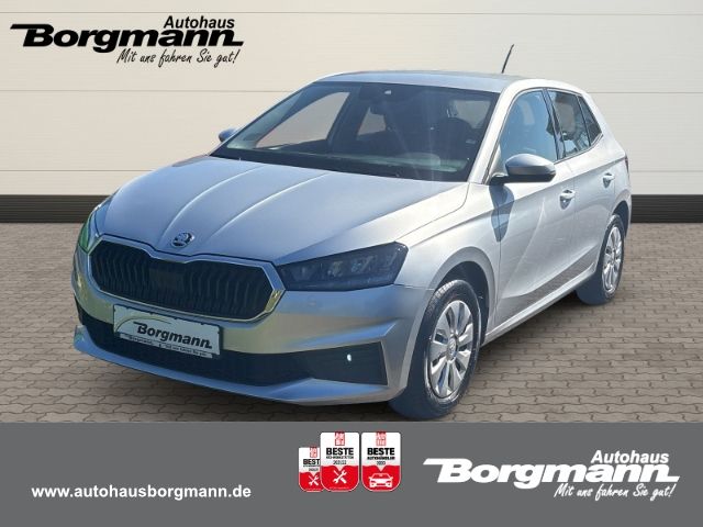 Skoda Fabia 23.670 km 14.890 &euro; Haltern am See 45721