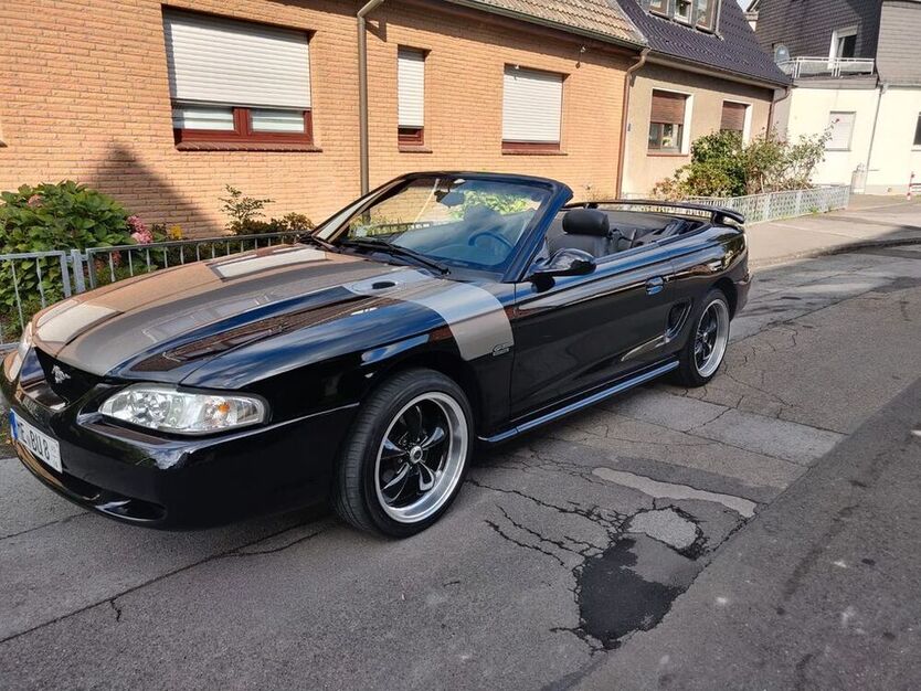 Mustang