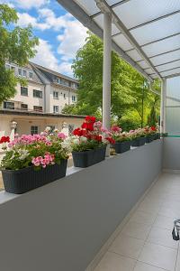 ERDGESCHOSS, SOFORT VERFÜGBAR & GARTENNUTZUNG - Erdgeschoßwohnung Oberhausen | Angebot:25070510