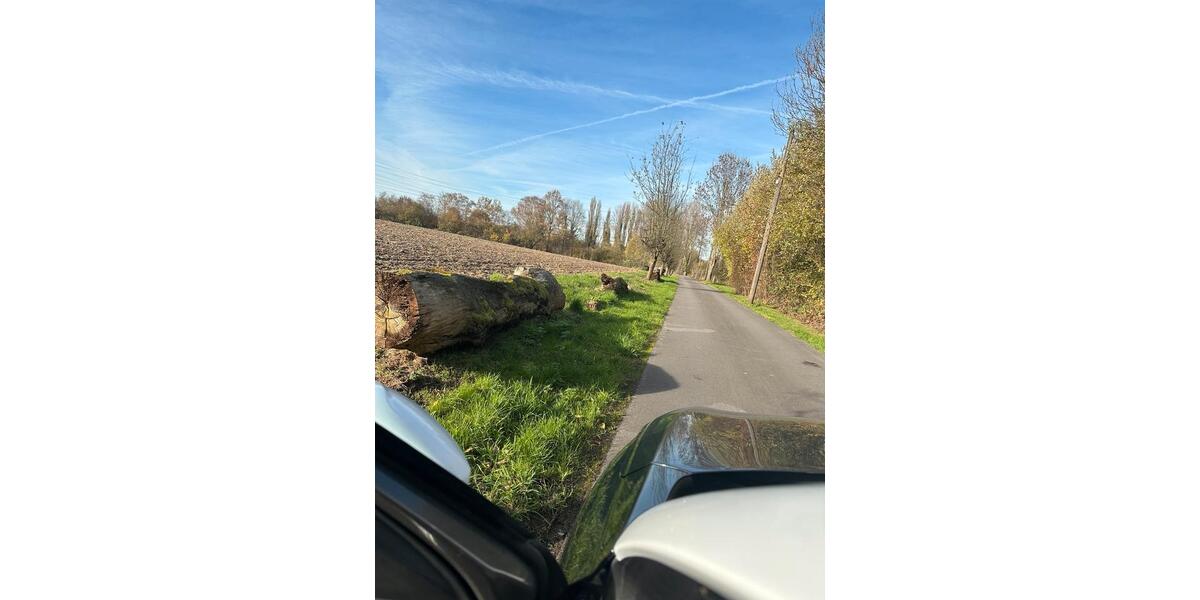 Mehrfamilienhaus, Wohnhaus Essen Stadtbezirk VII - 20 Zimmer, 570 m&sup2;, 1.600.000&euro; | Angebot:25612813