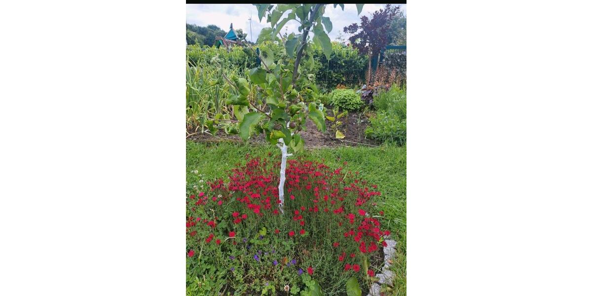 Grundstück Oer-Erkenschwick Erkenschwick - 7.500&euro; | Angebot:25285913