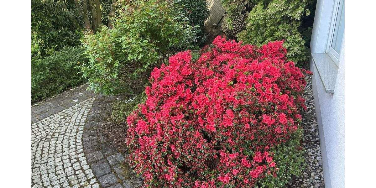 Einfamilienhaus Dortmund Lücklemberg - 9 Zimmer, 308 m&sup2;, 1.295.000&euro; | Angebot:23824813