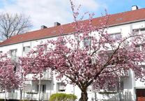 Modernisierte 2,5 Raum Wohnung in Wanne-Mitte mit Balkon