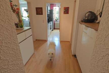 Wohnung zum Mieten in Dortmund 560 € 7 m² 3 zimmer