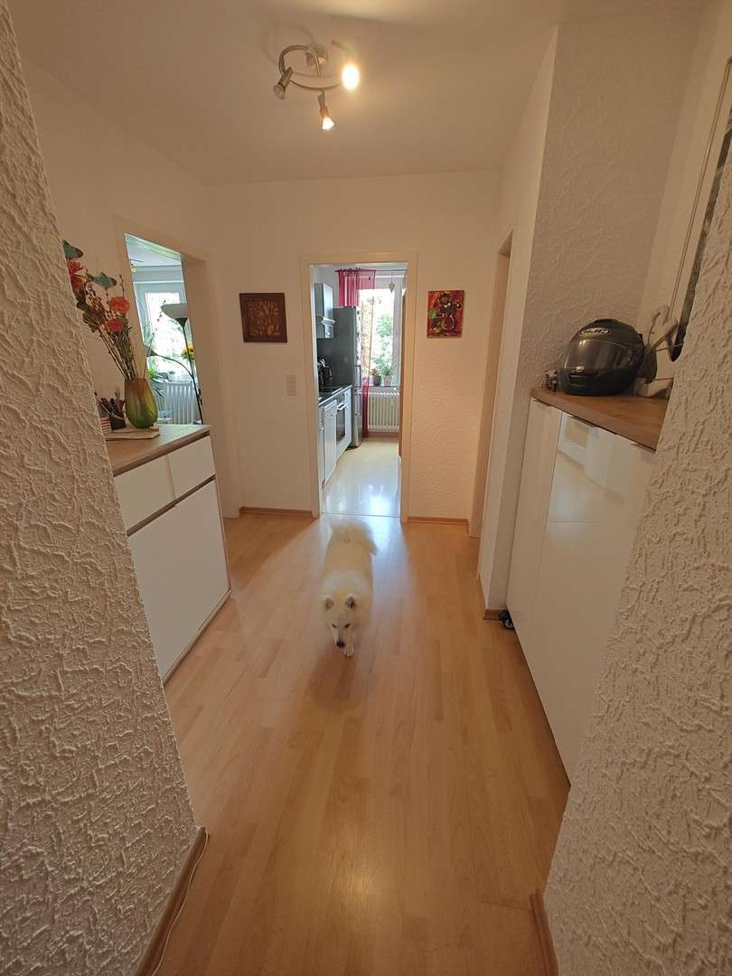 Wohnung zum Mieten in Dortmund 560 € 7 m² 3 zimmer