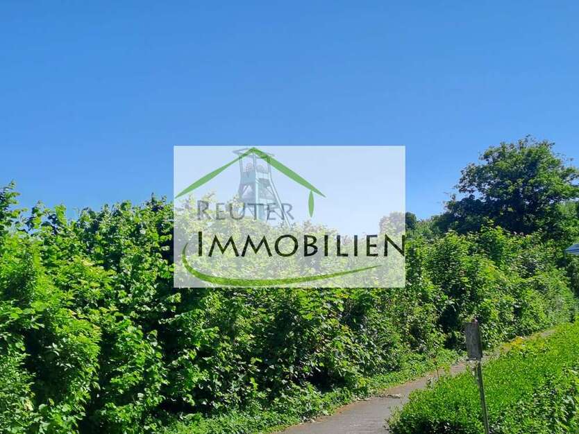 Wohnung zum Mieten in Bochum 460 € 63 m²
