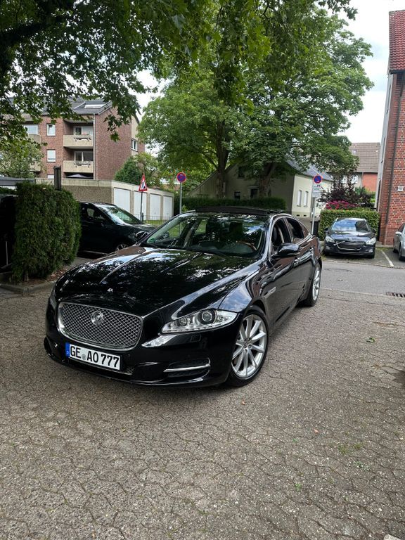 XJ
