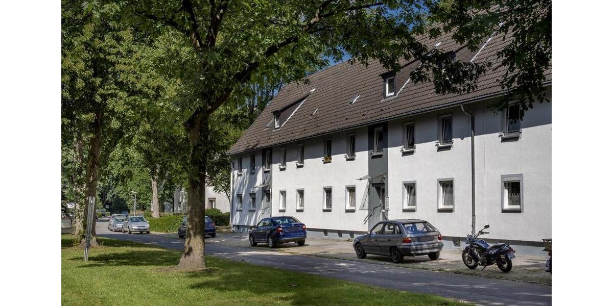 Erdgeschoßwohnung Gelsenkirchen Resse - 3 Zimmer, 47 m&sup2;, 379&euro; | Angebot:25233598