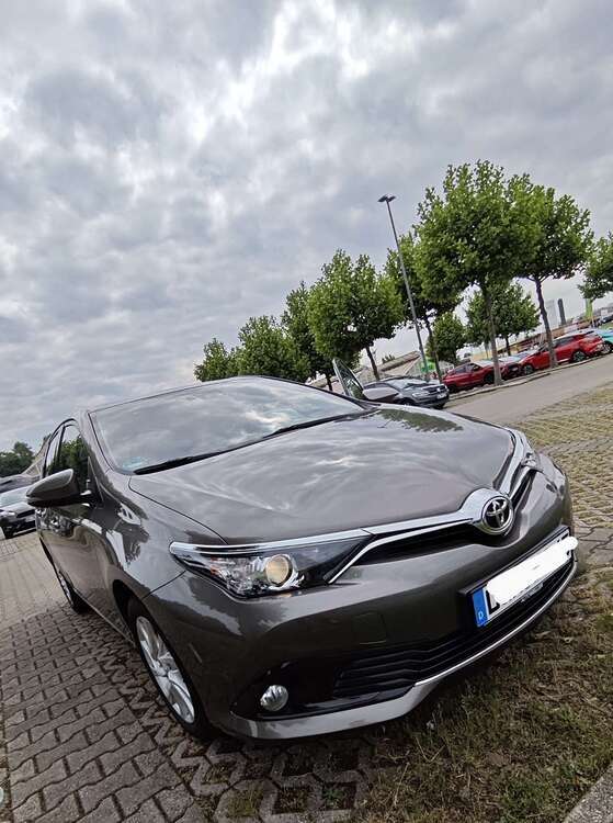 Auris