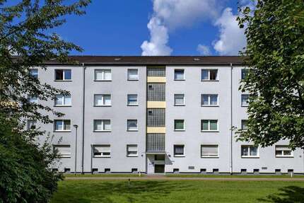Wohnung Hattingen Winz - 3 Zimmer, 72 m&sup2;, 619&euro; | Angebot:26890015