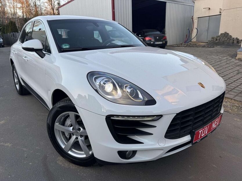 Macan