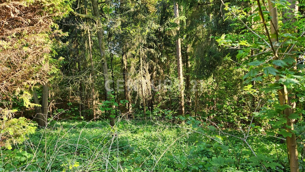 Landliebe pur! Idyllische Alleinlage im Wald. - Bauernhaus, Landhaus Bochum Bochum-Südwest | Angebot:26897328