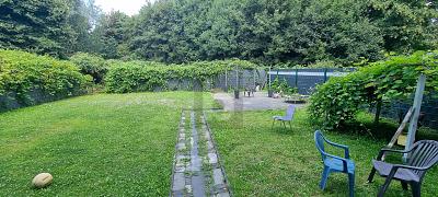 VOLL VERMIETETE KAPITALANLAGE - Mehrfamilienhaus, Wohnhaus Gelsenkirchen Gelsenkirchen-Mitte | Angebot:25086122