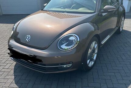 VW Beetle
