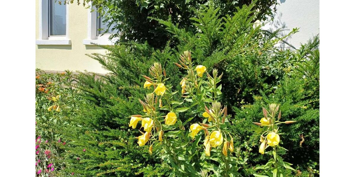 Etagenwohnung Witten Heven - 3 Zimmer, 57 m&sup2;, 595&euro; | Angebot:24705668