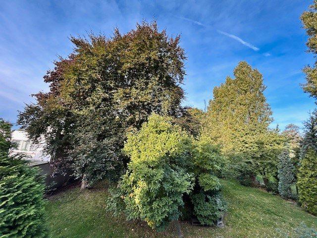 Etagenwohnung Oberhausen Biefang - 3.5 Zimmer, 80 m&sup2;, 800&euro; | Angebot:26336410