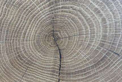 Haus zum Kaufen in Dülmen 588.407 € 152.34 m² 5.5 zimmer