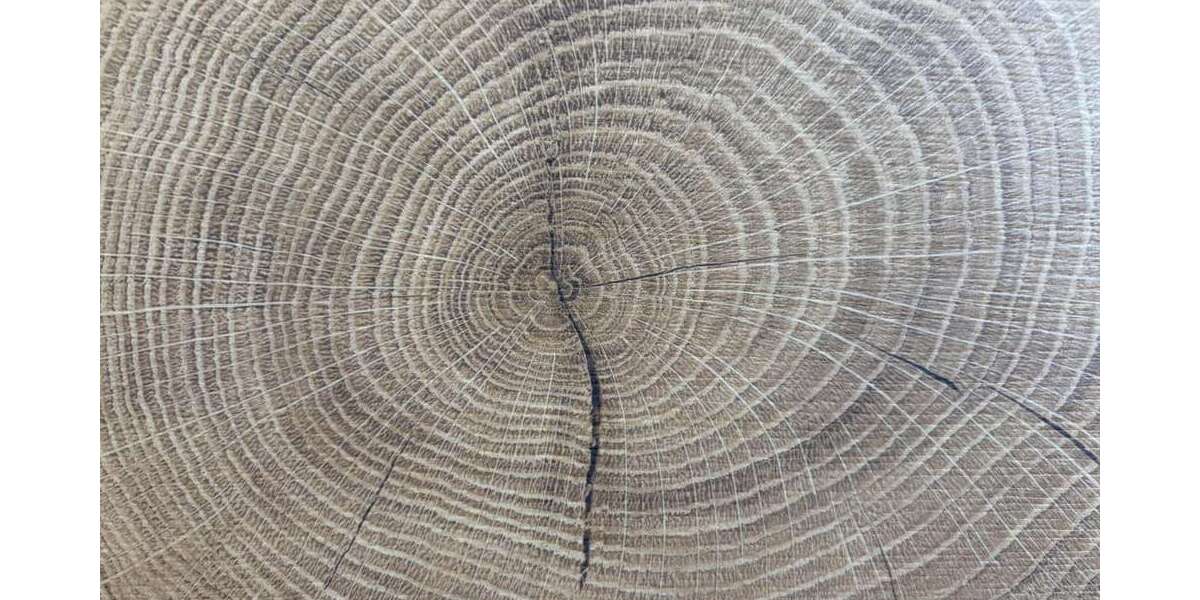 Haus zum Kaufen in Dülmen 588.407 € 152.34 m² 5.5 zimmer