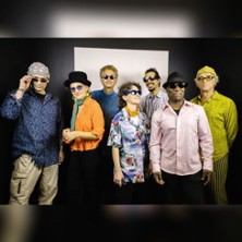 Padi Orchestra
