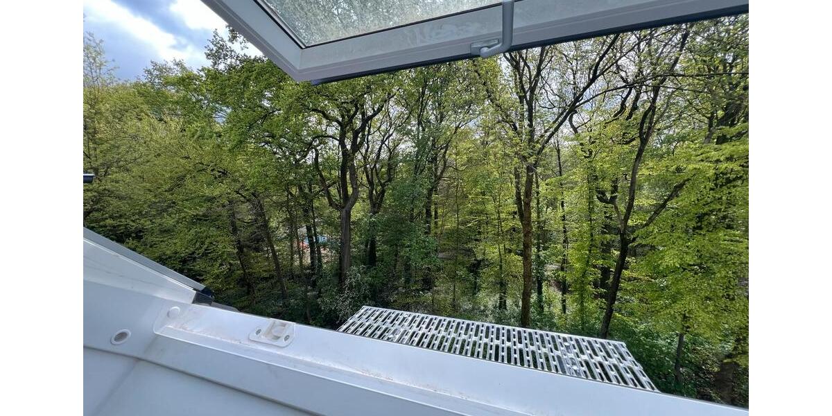 Dachgeschoßwohnung Gladbeck Brauck - 1.5 Zimmer, 50 m&sup2;, 460&euro; | Angebot:25149994