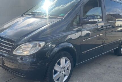 Mercedes Viano