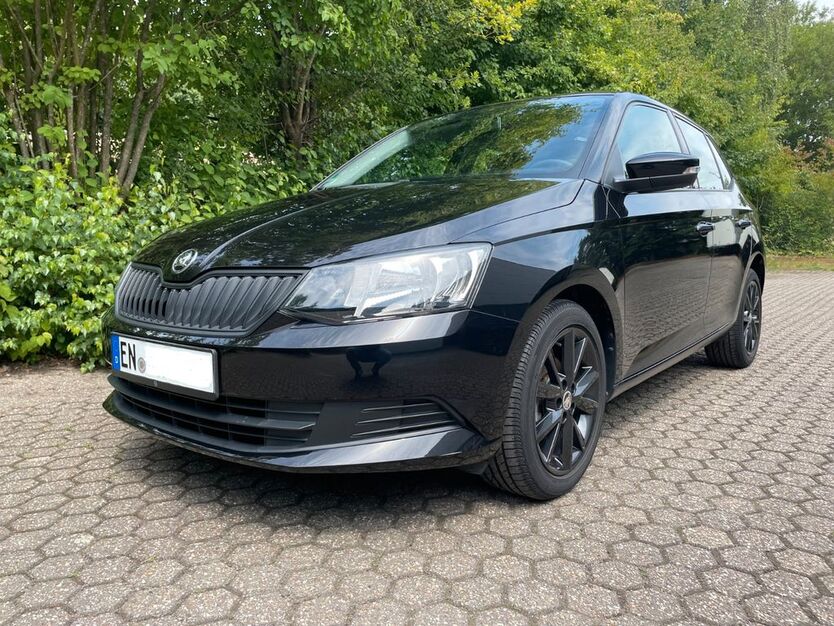 Skoda Fabia 32.023 km 8.100 € Wetter 58300