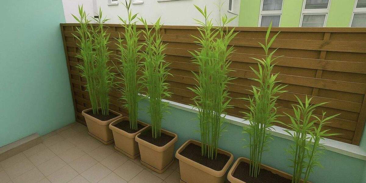 Saarlandstraßenviertel - Altbau - 2 Balkone - 106 qm 3 zimmer