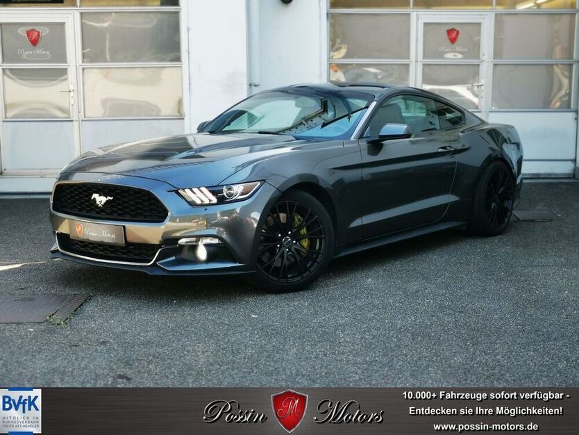 Mustang