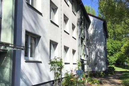 Fertig renoviert - es kann los gehen 3.5 zimmer