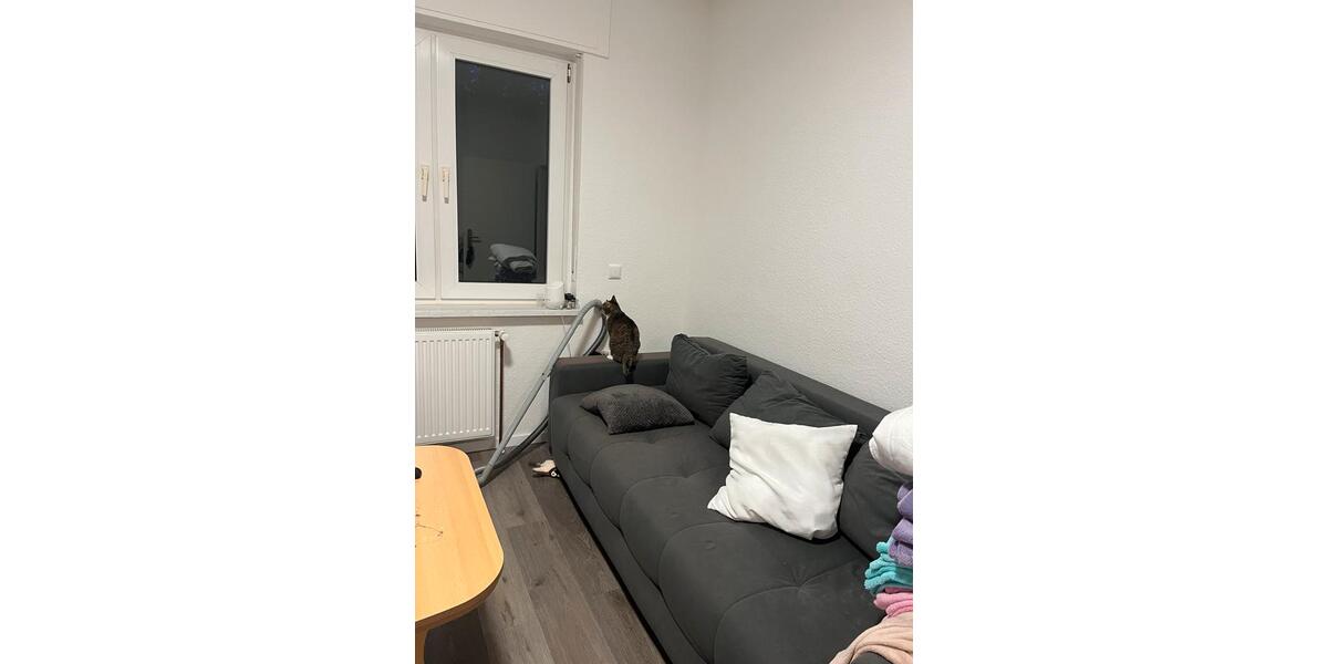 Erdgeschoßwohnung Essen Stadtbezirk VII - 4 Zimmer, 64 m&sup2;, 370&euro; | Angebot:26361256