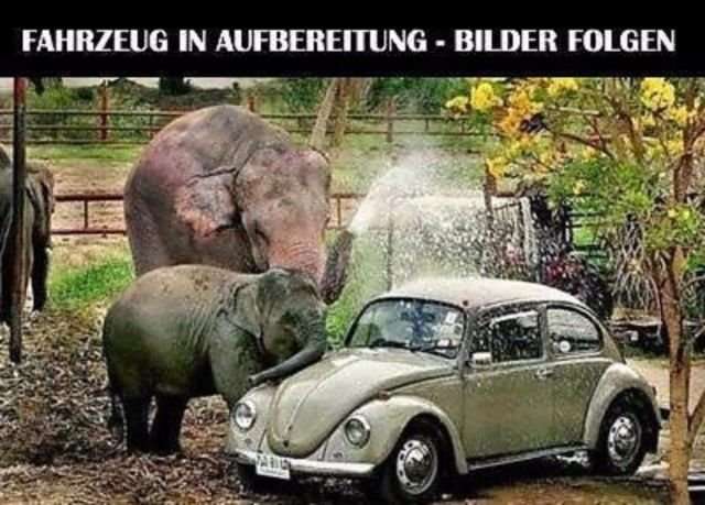 Chrysler PT Cruiser 170.000 km 3.450 € Gelsenkirchen 45881