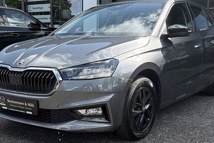 Skoda Fabia 29.109 km 16.700 &euro; Dortmund 44263