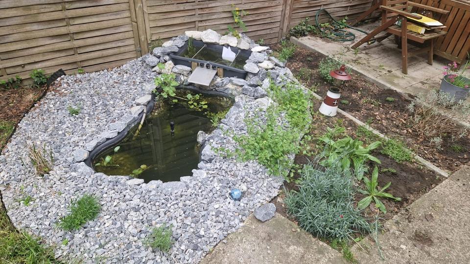 Helle 3,5-Zimmer-Erdgeschosswohnung mit eigenem Garten & Garage – zimmer