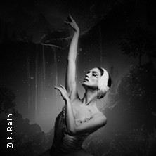 Grand Classic Ballet - Schwanensee - Jenseits der Bühne mit live Streichquartett 07.11.2026 Stadthalle Datteln