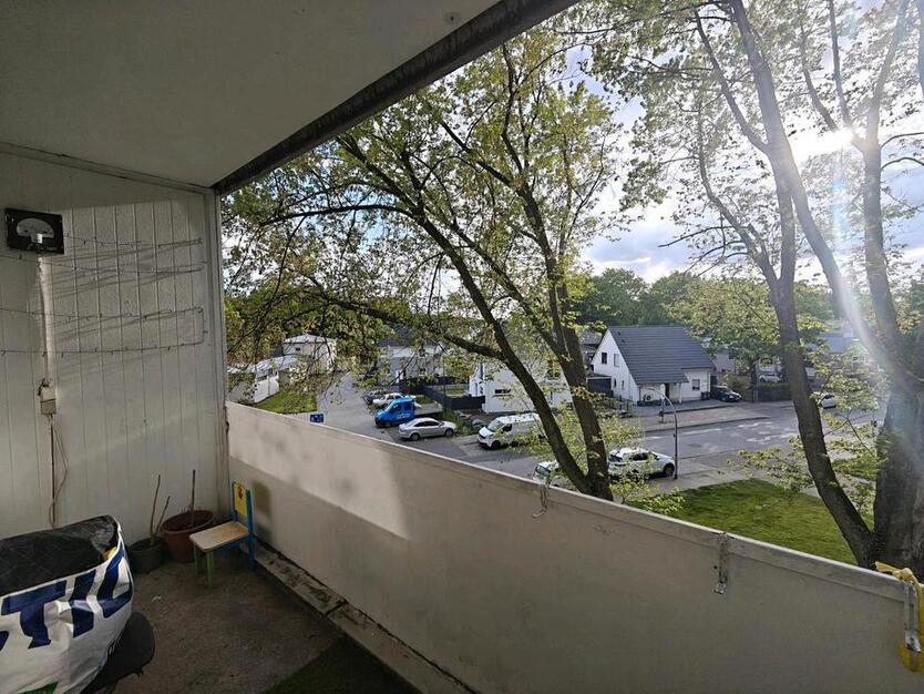 Grosse 3 Zimmer Eigentumswohnung zimmer