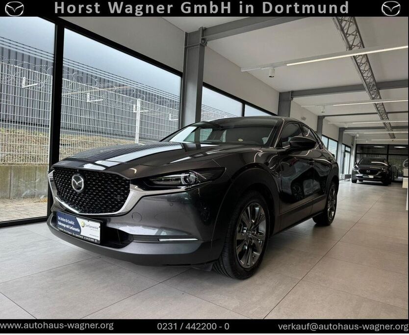 CX-30