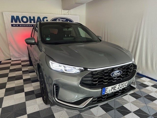 Kuga