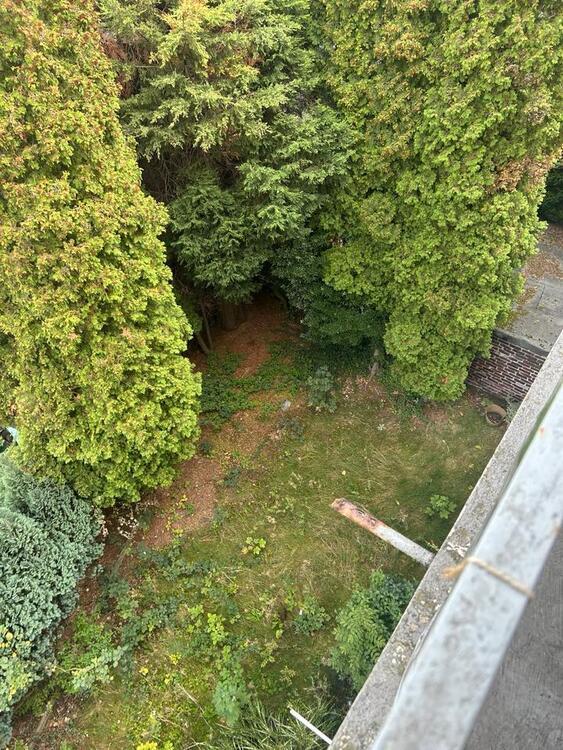 ETW mit 2,5 Zimmer in Lirich zu verkaufen zimmer