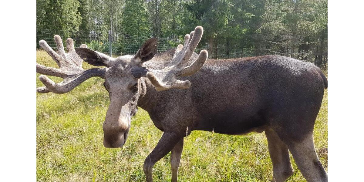 Ferienimmobilie Dorsten Altstadt - 185&euro; | Angebot:20669020
