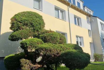 Wohnung zum Mieten in Dortmund 338 € 25 m² 1 zimmer