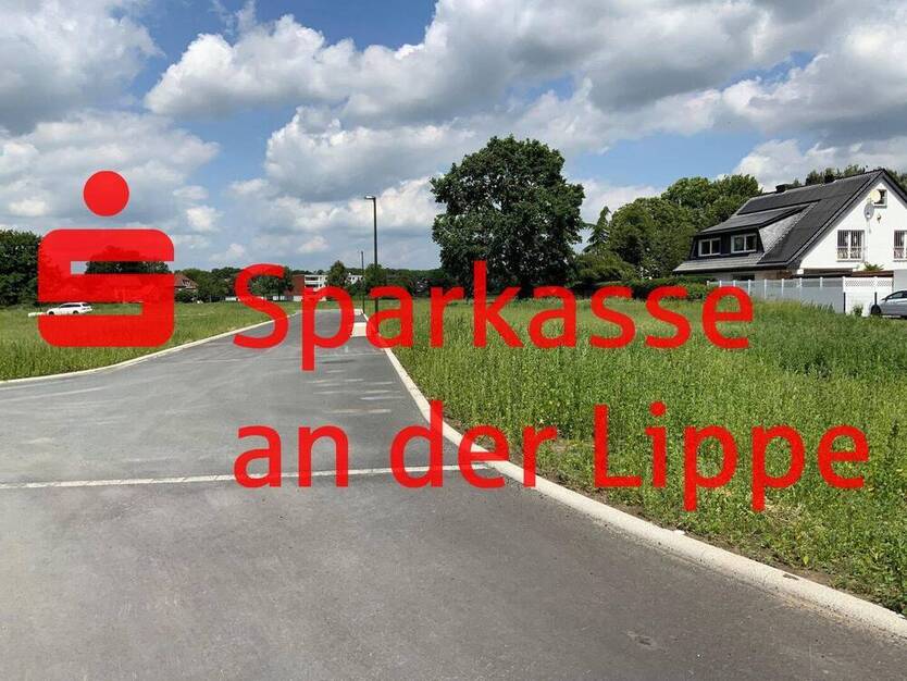 WOHNEN IM NEUEN BAUGEBIET 