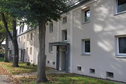 Wohnung Recklinghausen Hillerheide - 3.5 Zimmer, 57 m&sup2;, 533&euro; | Angebot:25178495