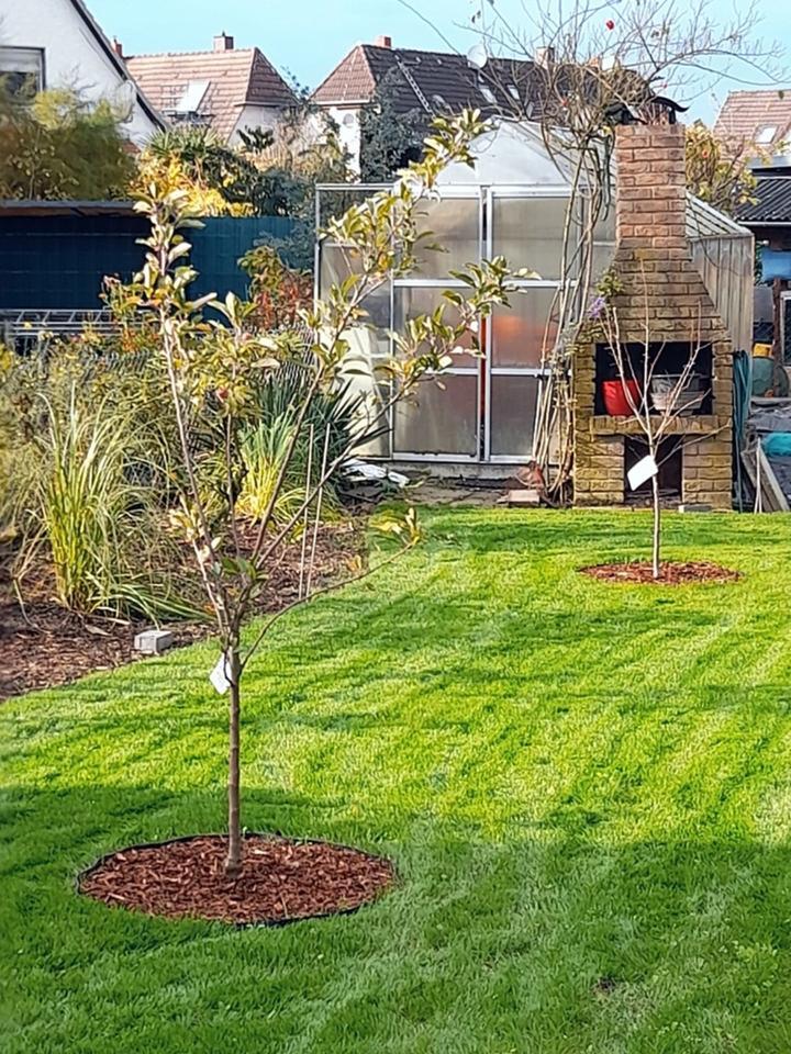 Doppelhaushälfte kernsaniert zimmer