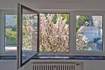 Etagenwohnung Essen Werden - 2 Zimmer, 67 m&sup2;, 198.000&euro; | Angebot:26607083