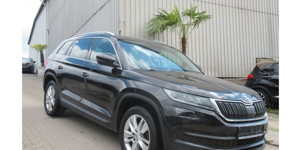 Skoda Kodiaq 169.580 km 19.490 &euro; Herne 44653