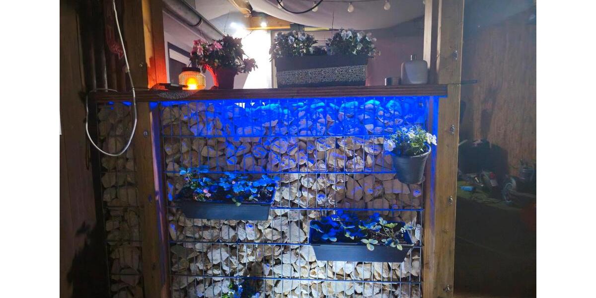 Haus zu verkaufen Masurenstr. 4 zimmer