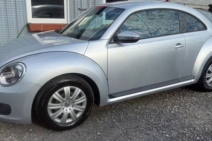 VW Beetle