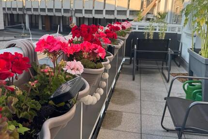 Wohnung mit großem Balkon zimmer