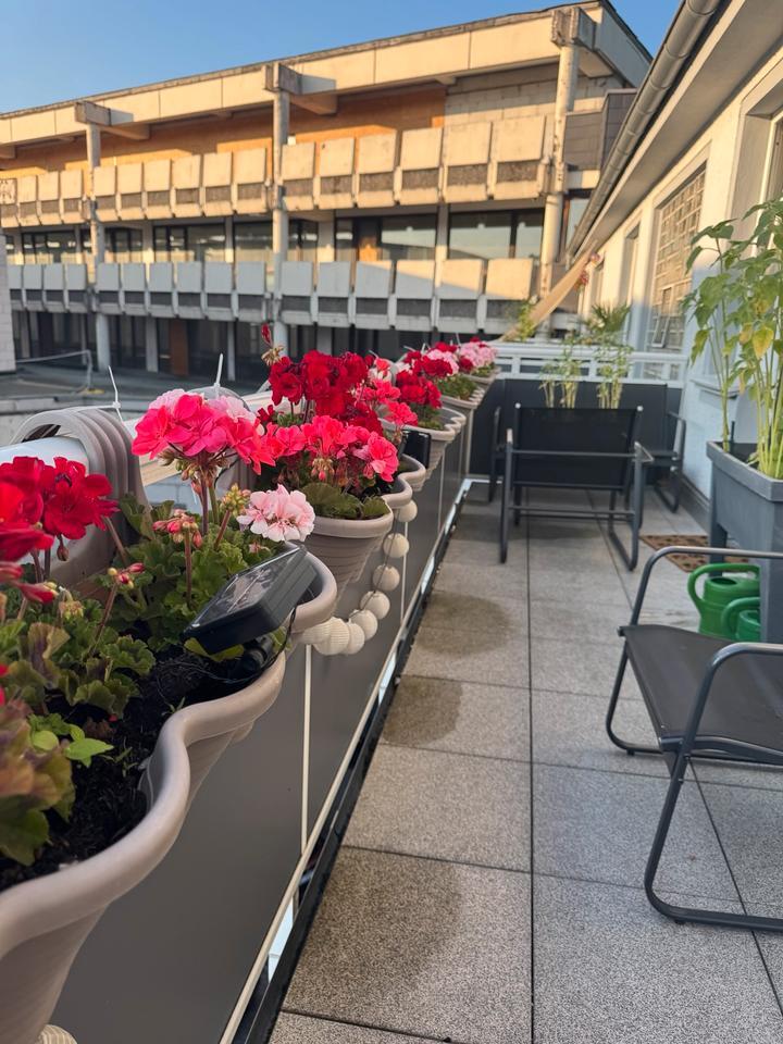 Wohnung mit großem Balkon zimmer